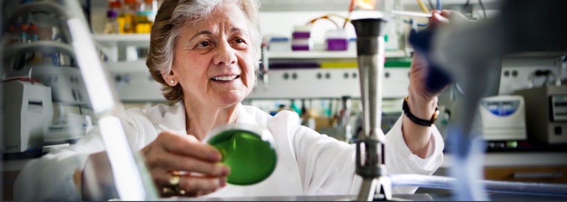 Senior scientist examining a green petri dish in a lab.